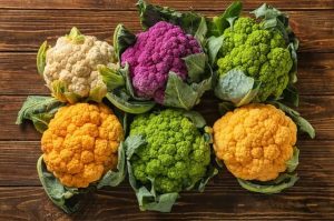 Programa A Força do Agro dia 17 de março