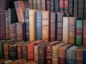 livros; literatura