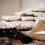 CRIME ORGANIZADO