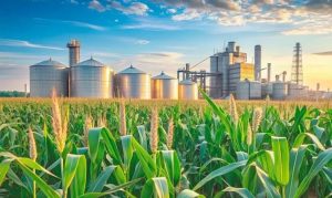 Programa A Força do Agro dia 6 de abril