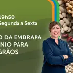 A Força do Agro é transmitido de segunda a sexta, das 19h50 às 20h30 | Foto: Divulgação/Oeste