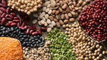 Programa A Força do Agro dia 9 de abril