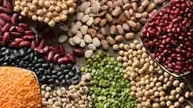 Programa A Força do Agro dia 9 de abril