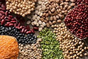Programa A Força do Agro dia 9 de abril