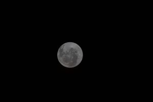 Nasa Bacia Orientale