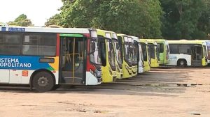Justiça pune consórcio de transporte público em São Luís: uso de ‘laranjas’ para ocultar patrimônio | Foto: Reprodução/Redes sociais