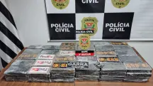 Polícia Civil exibe carga apreendida neste domingo, 5, próximo ao Aeroporto Internacional de Guarulhos: 110 tijolos de cocaína | Foto: Divulgação/PCSP