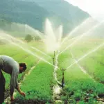 Programa A Força do Agro dia 20 de abril