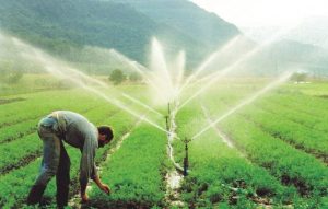 Programa A Força do Agro dia 20 de abril