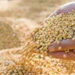 Programa A Força do Agro dia 28 de abril