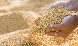 Programa A Força do Agro dia 28 de abril