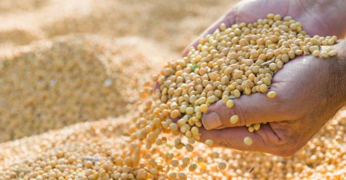 Programa A Força do Agro dia 28 de abril