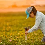 Programa A Força do Agro dia 30 de abril