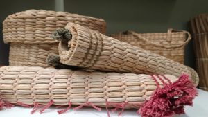 Programa A Força do Agro dia 27 de abril