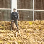 PM apreende quase 50 toneladas de maconha em bunker no RJ
