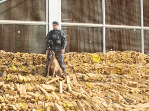 PM apreende quase 50 toneladas de maconha em bunker no RJ