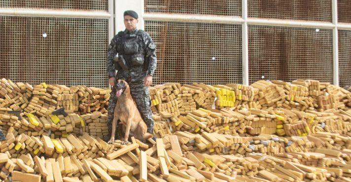 PM apreende quase 50 toneladas de maconha em bunker no RJ