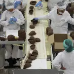 Linha de produção de ovos de Páscoa