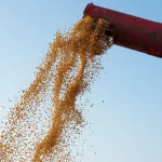 VBP