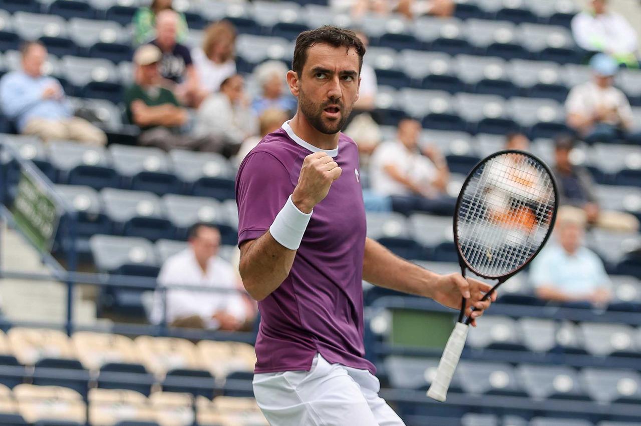 Marin Čilić