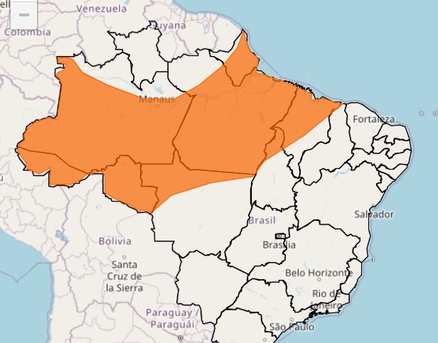 Inmet emite alerta laranja de chuvas intensas