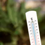 polymarket-frança-temperatura-apostas