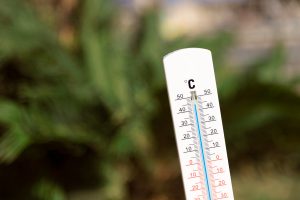 polymarket-frança-temperatura-apostas