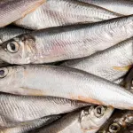 sardinha-freepik