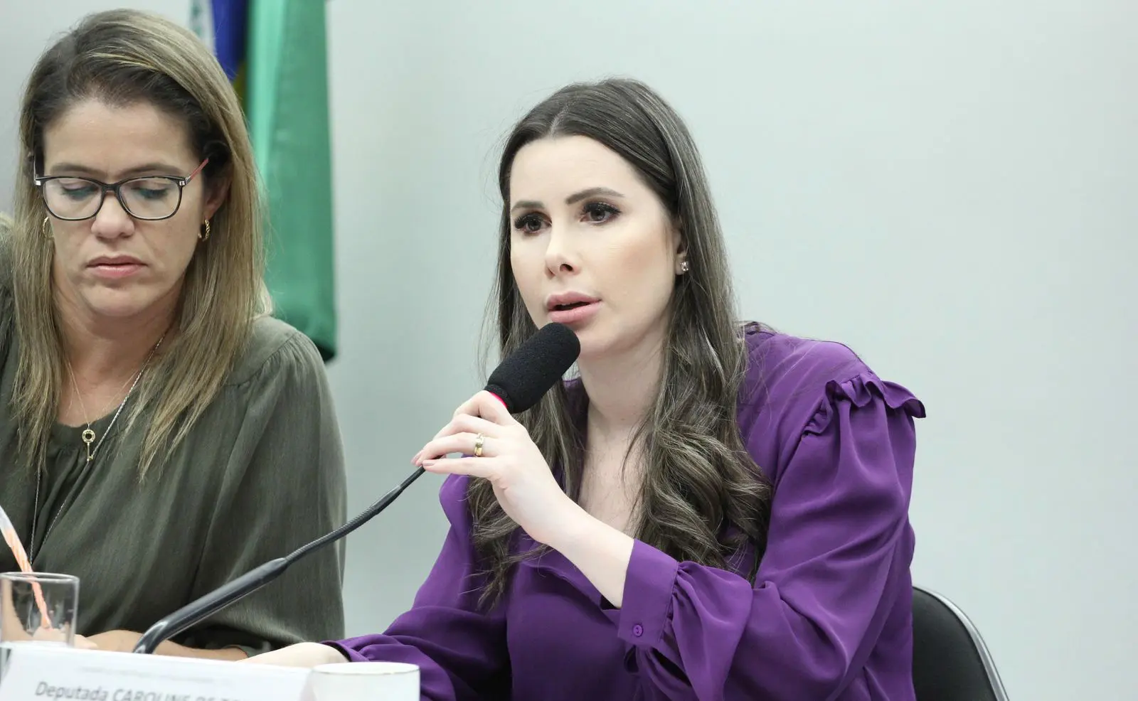 A deputada federal Carol De Toni (PL-SC)