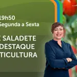 A Força do Agro é transmitido de segunda a sexta, das 19h50 às 20h30 | Foto: Divulgação/Oeste