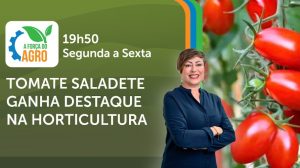 A Força do Agro é transmitido de segunda a sexta, das 19h50 às 20h30 | Foto: Divulgação/Oeste
