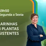 A Força do Agro é transmitido de segunda a sexta, das 19h50 às 20h30 | Foto: Divulgação/Oeste