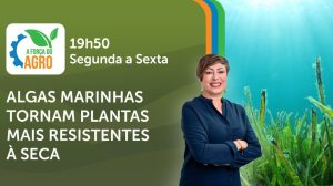 A Força do Agro é transmitido de segunda a sexta, das 19h50 às 20h30 | Foto: Divulgação/Oeste