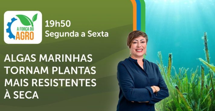 A Força do Agro é transmitido de segunda a sexta, das 19h50 às 20h30 | Foto: Divulgação/Oeste