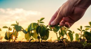 Programa A Força do Agro dia 27 de maio