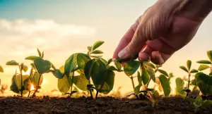 Programa A Força do Agro dia 27 de maio