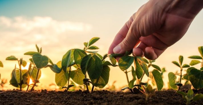 Programa A Força do Agro dia 27 de maio