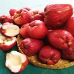 Programa A Força do Agro dia 29 de maio