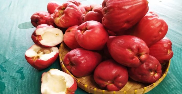Programa A Força do Agro dia 29 de maio