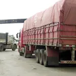 mercado ilegal CNI