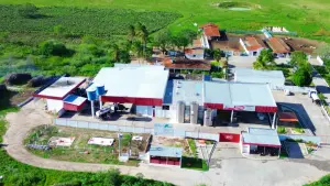 Piracanjuba compra laticínio em Alagoas e amplia operação no Nordeste