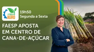 A Força do Agro é transmitido de segunda a sexta, das 19h50 às 20h30 | Foto: Divulgação/Oeste