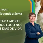 A Força do Agro é transmitido de segunda a sexta, das 19h50 às 20h30 | Foto: Divulgação/Oeste
