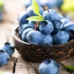Programa A Força do Agro dia 15 de maio