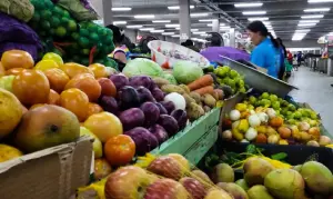 Endividamento famílias Brasil alimentação