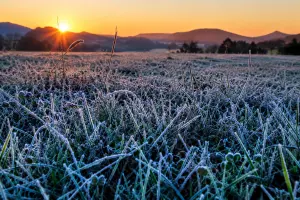 O frio ganhou força depois da passagem de uma frente fria que provocou chuva, rajadas de vento e temporais em áreas do Sul do Brasil | Foto: Divulgação/Oeste | Imagem criada com o auxílio de inteligência artficial