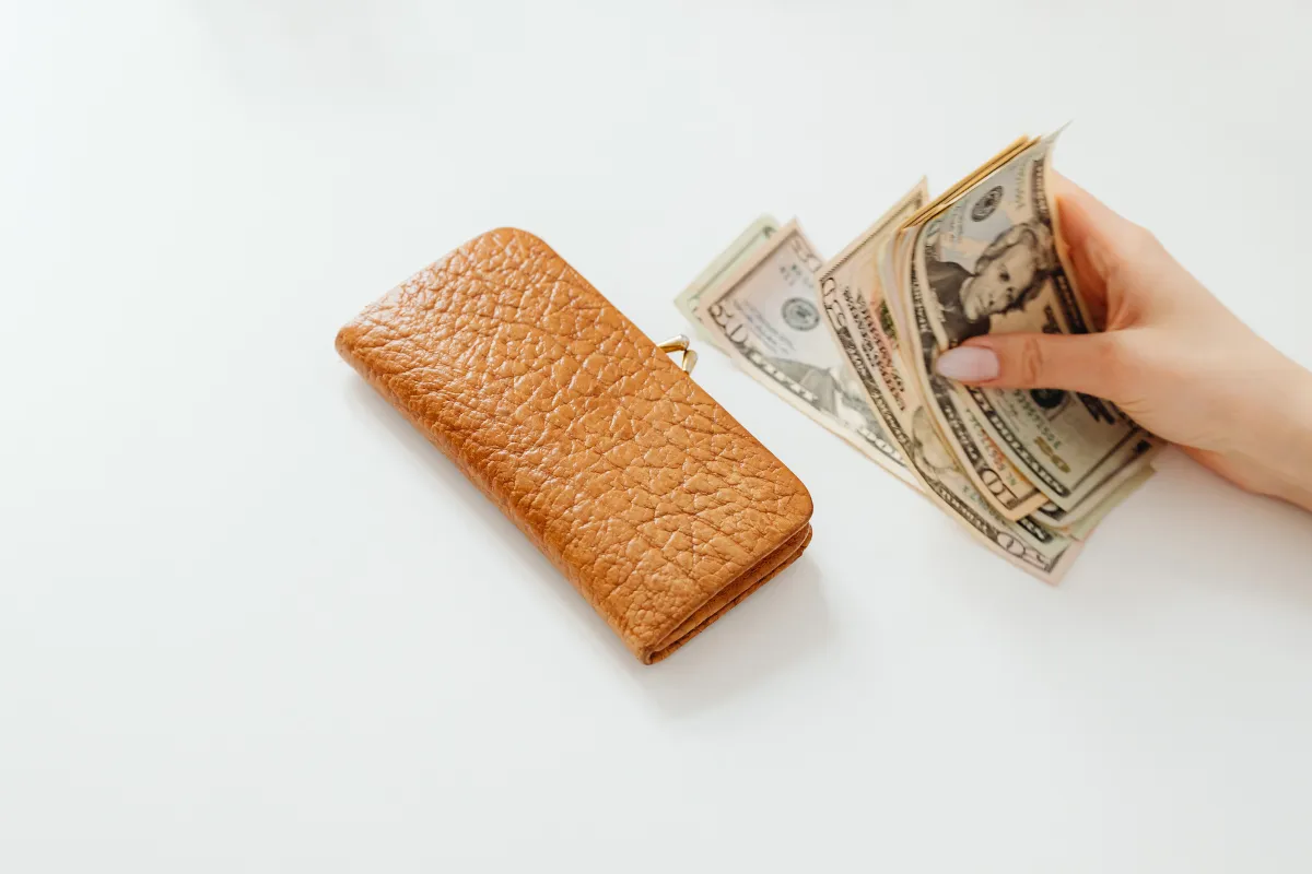 Pessoa segurando notas de dólar ao lado de carteira marrom simbolizando impacto dos subsídios no consumo