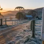 O frio mais intenso também eleva o potencial de geadas moderadas e fortes em praticamente todo o território gaúcho | Foto: Divulgação/Oeste | Imagem criada com o auxílio de inteligência artificial