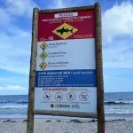 pernambuco - alerta de ataque de tubarão