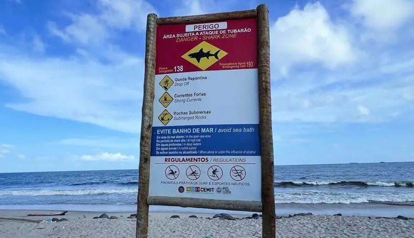 pernambuco - alerta de ataque de tubarão